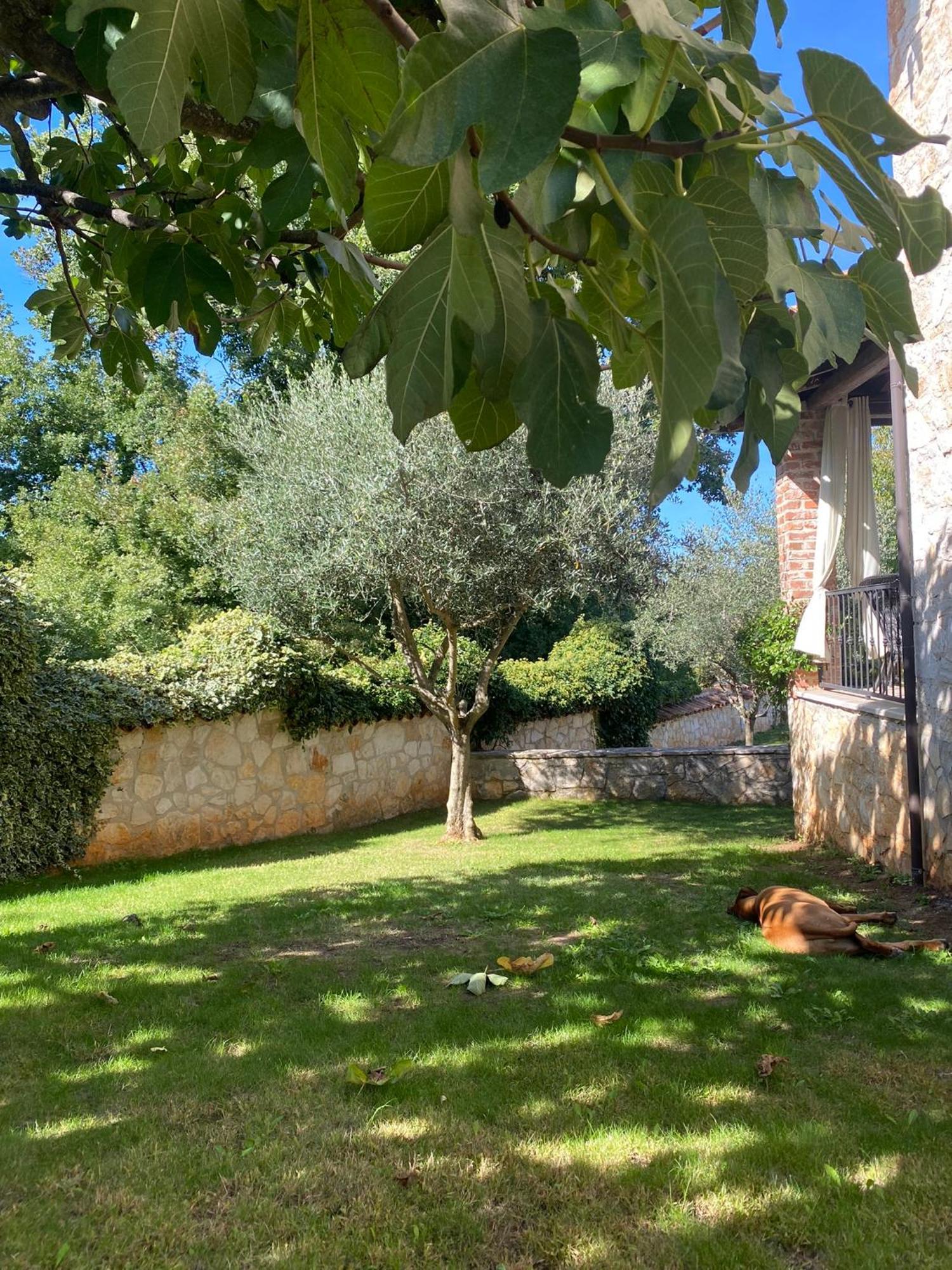 Villa Isabella - Ruheoase Poreč Buitenkant foto